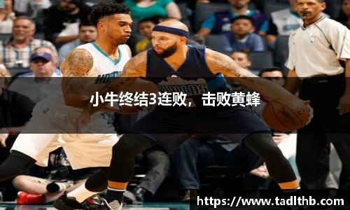 小牛终结3连败，击败黄蜂